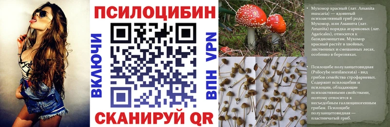 ссылка на мегу tor  продажа наркотиков  Питкяранта  Галлюциногенные грибы прущие грибы 